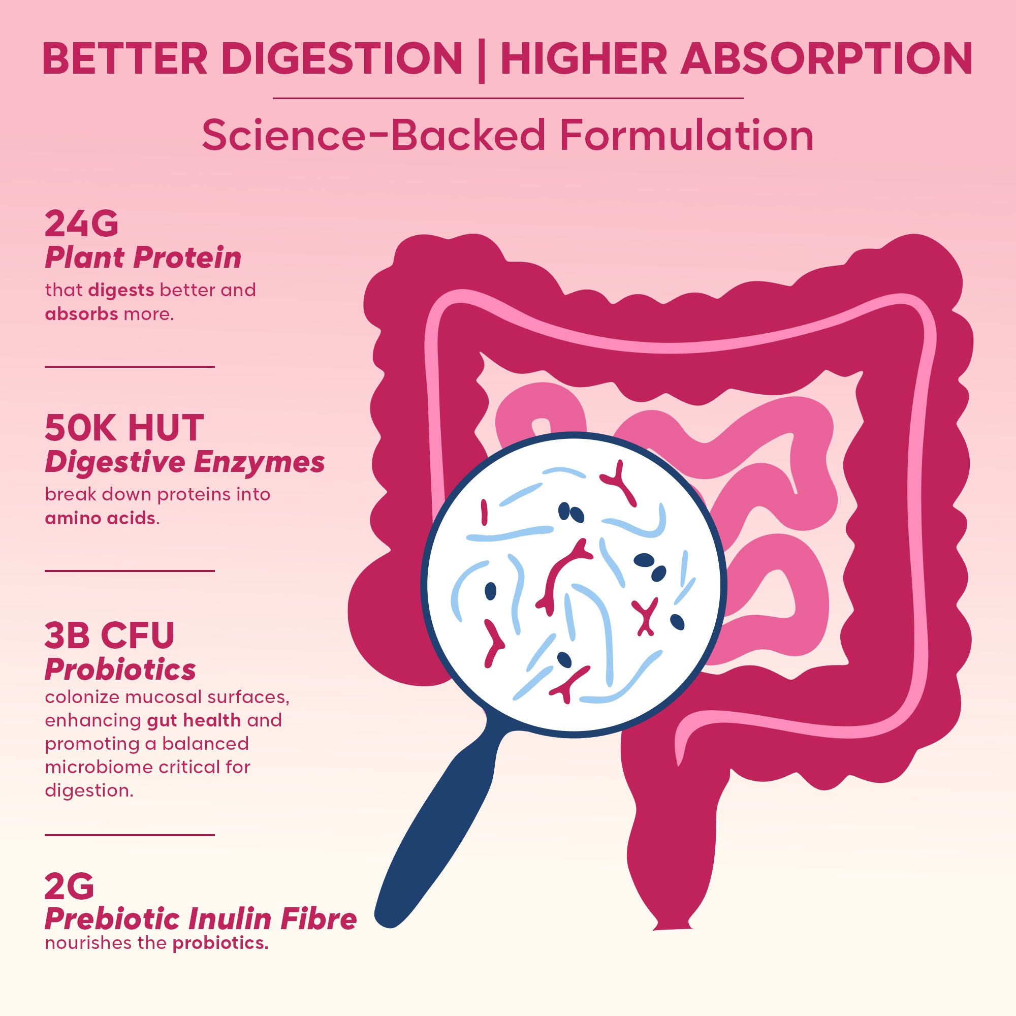 Gut Friendly Plant Protein | Coffee 500G