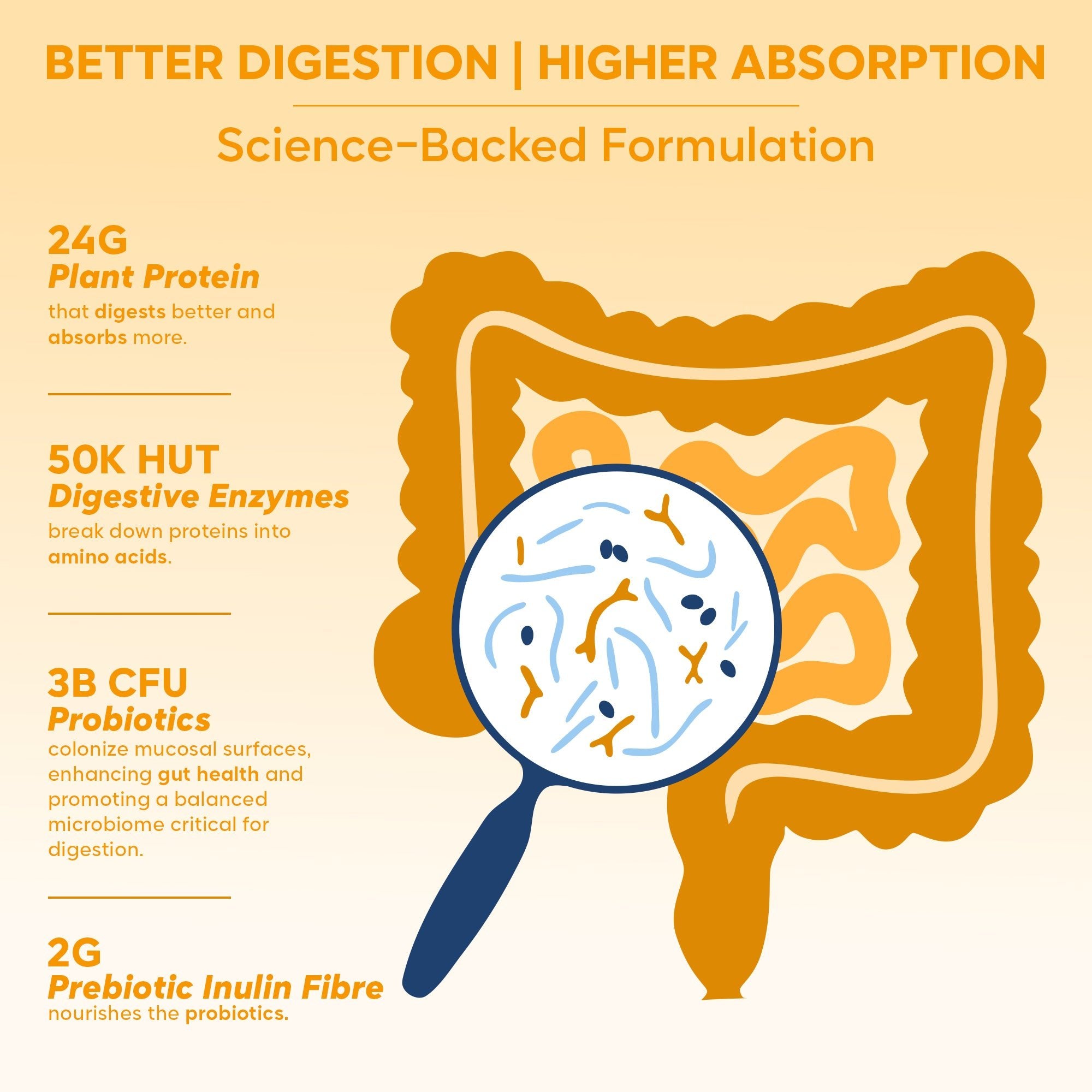 Gut Friendly Plant Protein | Mango 500G