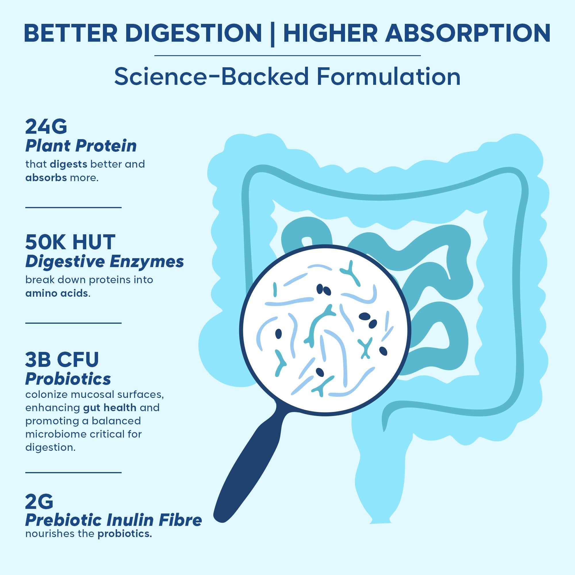 Gut Friendly Plant Protein | Vanilla 500G