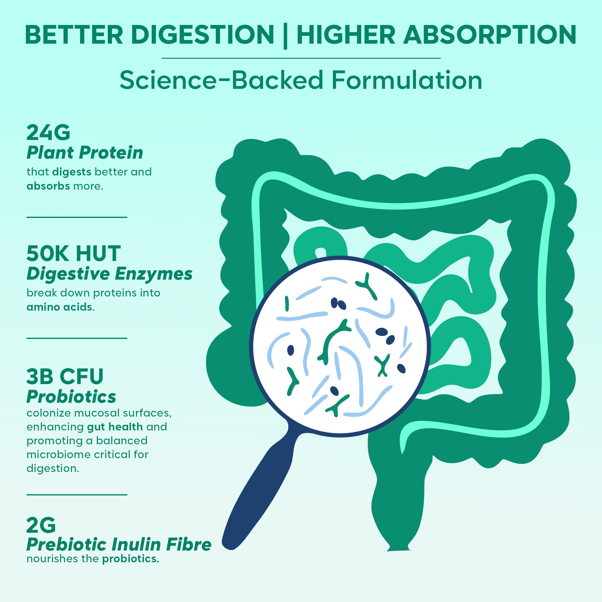 Gut Friendly Plant Protein | Unflavoured (Raw) 500G