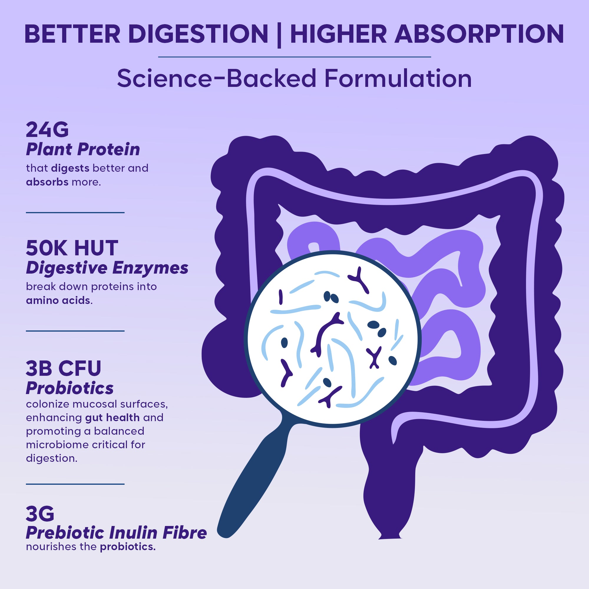 Gut Friendly Plant Protein | Chocolate 500G