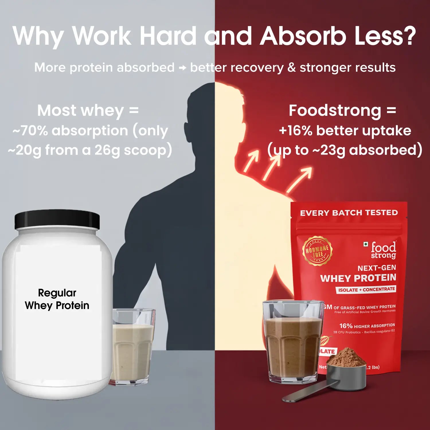 Next-Gen Whey Protein | Chocolate 1 Kg