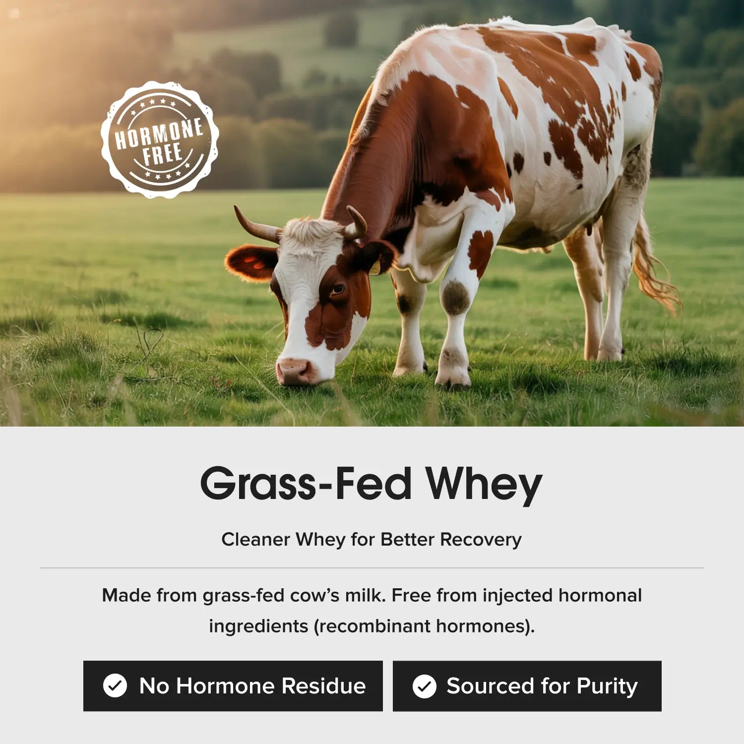 Next-Gen Whey Protein | Coffee 1 Kg