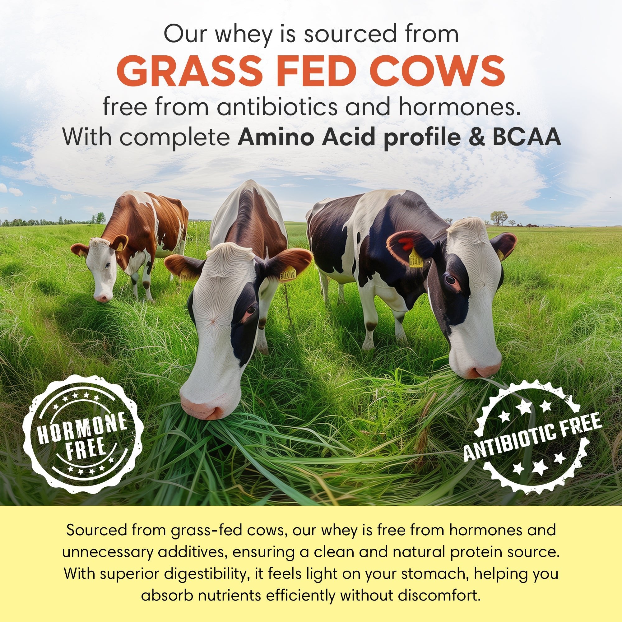 Whey Protein | Malai Kulfi