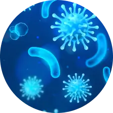Ingredient Image