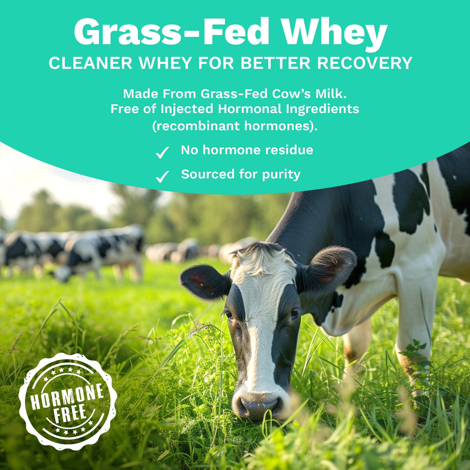Next-Gen Whey Protein | Raw (Unflavoured) 1 Kg
