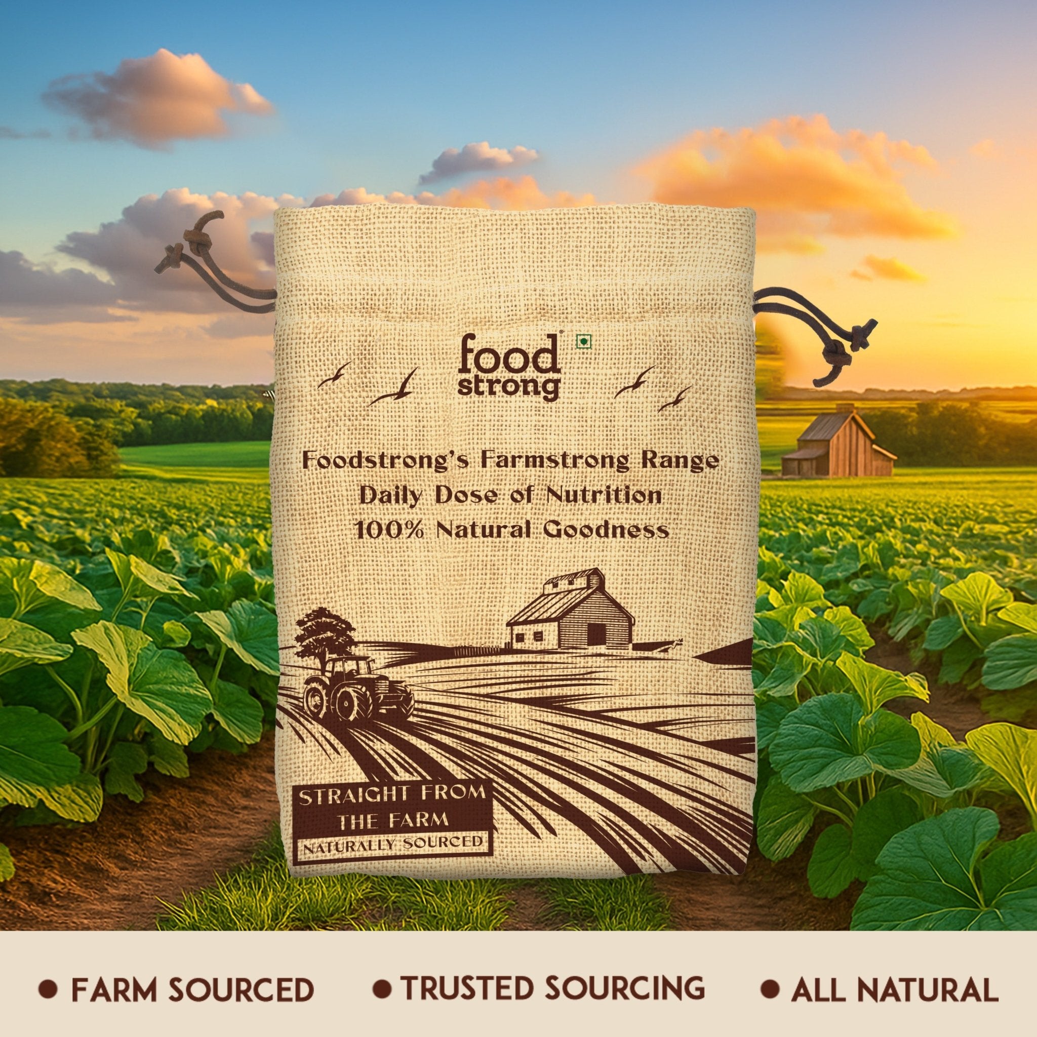 Farmstrong Seeds Combo with Jute Bag | Chia, Flax, Pumpkin, Sunflower & Mix Seeds | 500g